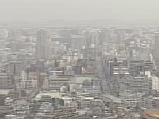 光化学スモッグ多発、環境省が初会議